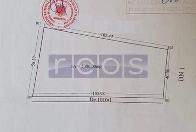 VANZARE TEREN | 5000 MP | DESCHIDERE 145 ML | DN1 | TANCABESTI - 1