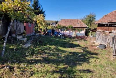 Casă cu 2 camere în Ulieș - 4