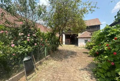 Casa de vanzare in Varia?, Timi? 45.000 negociabil - 3