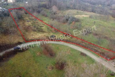 Teren de vanzare in comuna Valea Iasului, jude? Arge?. - 6