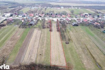 Casă cu 3 camere decomandat cu Teren 4748 Mp în Pomi - 10
