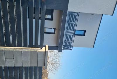 Casă cu 4 camere în Sânandrei - 3