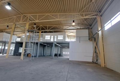 HALA DEPOZITARE CU ETAJ PARTIAL PENTRU BIROURI AMPLASAMENT: OTOPENI - 44