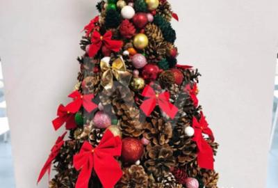 Casă cu 7 camere cu Teren 1170 Mp în Cârcea - 5