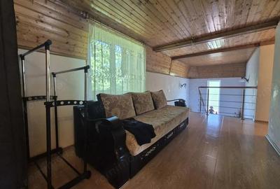 Vanzare proprietate remarcabila situata in zona turistica Runcu - 8