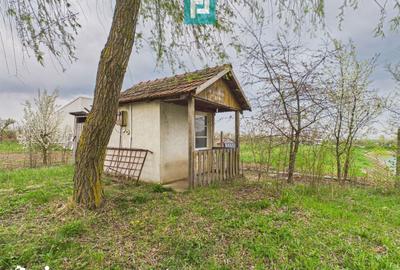 Teren de 10000 mp, în Grădiște