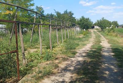 Casă cu 3 camere în Albina - 1