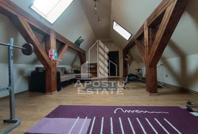 Vila spatioasa in Elisabetin - 11