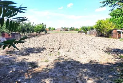 Casa de vanzare, in centrul comunei Socodor, la ?oseaua pricipala - 3