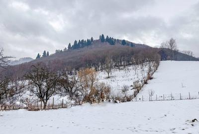 Spațiu comercial, în Rășinari - 2