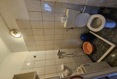 De inchiriat locuinta unifamiliala cu curte si gradina - 6