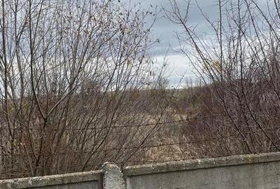 RECO vindem teren intravilan in Suncuius - 6