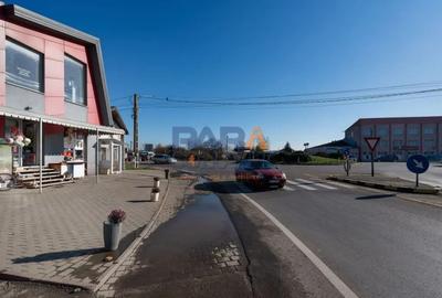 Spațiu comercial, de 90 mp, în Horia - 1
