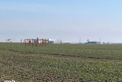 Spațiu comercial, în Făcăi - 1