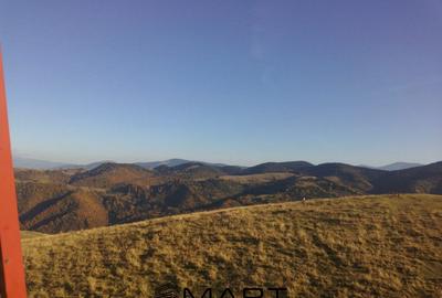 Casa individuala cu teren zona Paltinis - 32