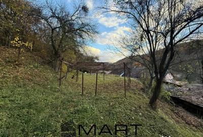 Casă cu 3 camere cu Canalizare în Central - 12