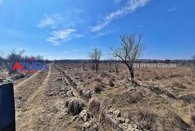 AZURA IMobiliare - Teren Iefin Bascov 3km de Giratoriu - 4