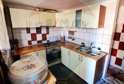 Casa de vanzare 170 mp, teren 1800 mp, Medias, cartier Vitrometan - 12