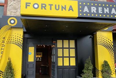 Spațiu comercial, de 226 mp, în Pantelimon - 2