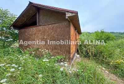 Teren intravilan 4.664 mp in Satul Boholt din Comuna Soimus, Jud. Hunedoara. - 3