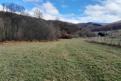 Teren Intravilan Ideal Pt Casa de Vacanta ,Valea Dobarlaului - 4