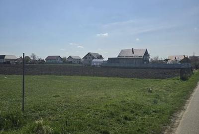 Teren de 1400 mp, în Satu Mare - 2