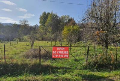 Teren de 2300 mp, în Dragodănești - 4