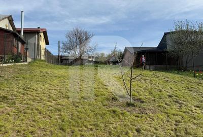 Teren Construcții intravilan de 883 mp, în Moara Vlăsiei - 8