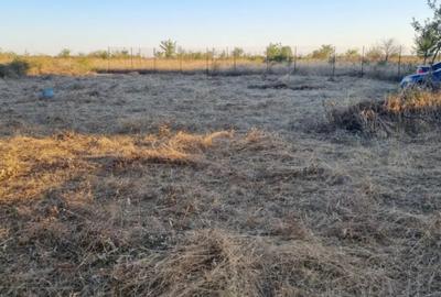 Teren de 800 mp, în Preajba - 1