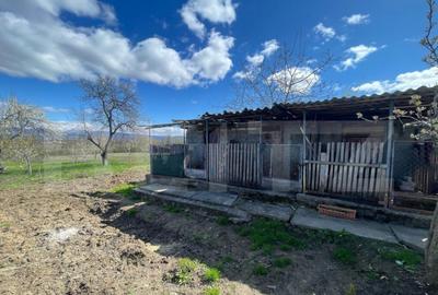 Casa cu 3 camere, 90 mp, 2 anexe gospodaresti si teren de 30 - 10