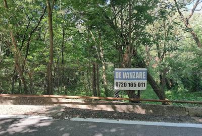 Teren de 917 mp, în Cornu - 3