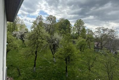 Casă cu 3 camere cu Teren 2200 Mp în Central - 1