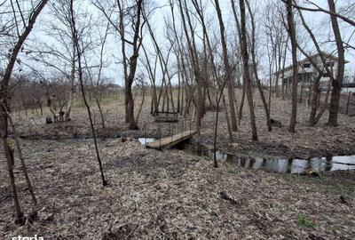 Casă cu 4 camere în Preajba - 8