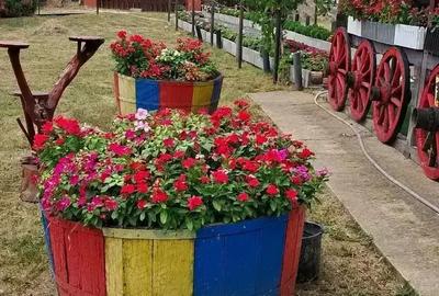 Teren de vanzare - 1