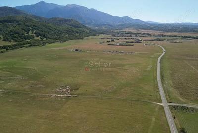 Teren extravilan Rasnov - 10