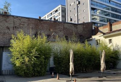 Inchiriere casa Calea Calarasilor x Popa Nan - Universitatea Hyperion - 3