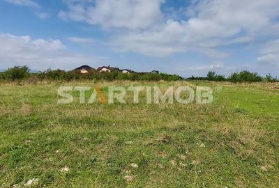 Teren Intravilan Tarlugeni - 8