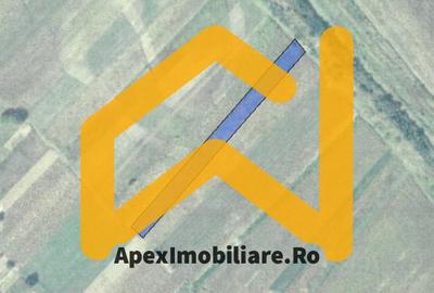 Teren Construcții intravilan de 2500 mp, în Joița - 2