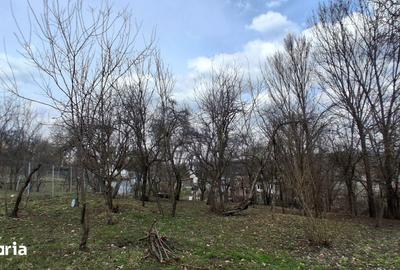 Casă cu 4 camere cu Teren 1600 Mp în Poiana - 5