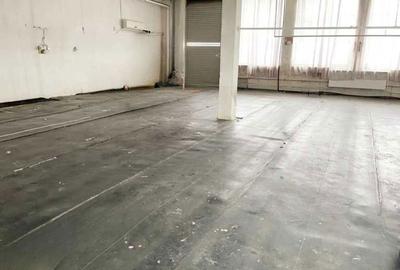 Spațiu comercial, de 545 mp, în Calea Severinului - 5