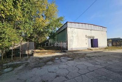 Hala industriala (1000 mp) si teren (4000 mp), Scornicesti, - 1