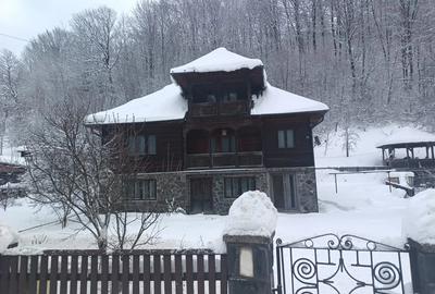 Casa tradi?ionala din piatra ?i lemn, 200 mp utili, teren 850 mp Cavnic - 10