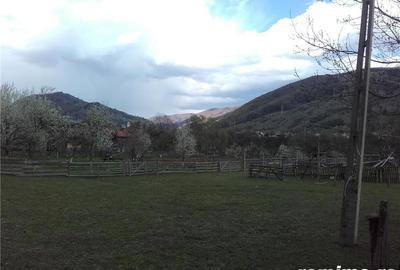 Teren de 3400 mp, în Trăisteni - 1
