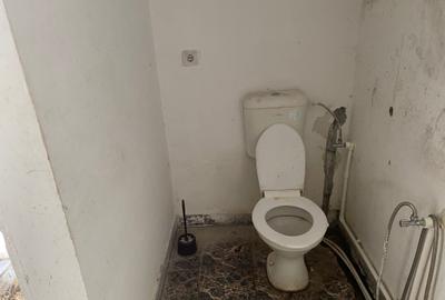 Nerva Traian Timpuri Noi - 9