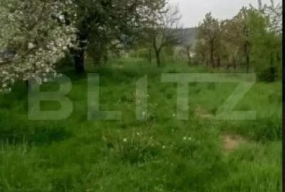 Casă cu 2 camere cu Teren 2315 Mp în Central - 2