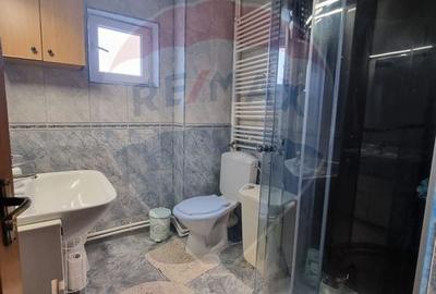 Casa / Vila cu 4 camere de vanzare in Valu lui Traian - 10