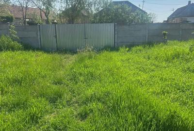 Teren intravilan 3025 mp, cu utilități, Bicaci, Bihor. - 3
