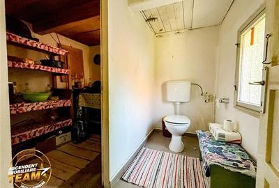 FILM! Doua case+anexe,rezidential/ comercial/de vacanta,Zagon,Covasna - 16