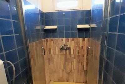 Inchiriere garsoniera zona Coposu / Str. Popa Soare, mobilata - 5