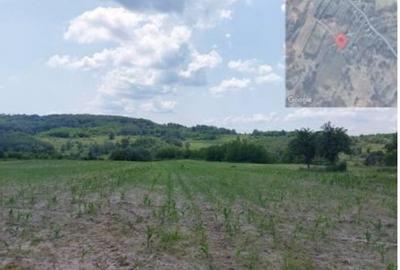 Teren extravilan loc. , Jud Gorj - 3